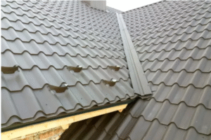 Exploring the Different Roof Panel