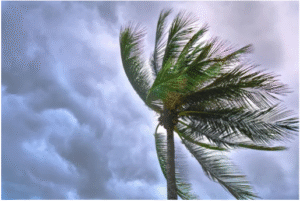 Creating Plans for Weather Resistance
