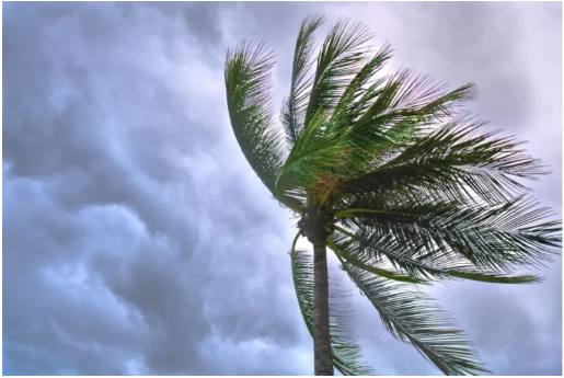 Creating Plans for Weather Resistance